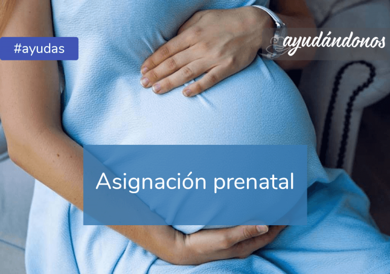 Asignación prenatal