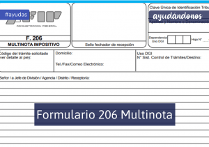 Formulario 206 multinota
