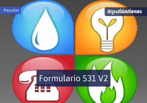 Formulario 531 V2