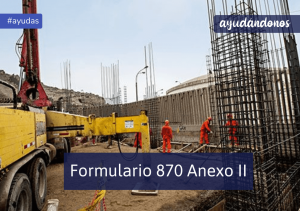 Formulario 870 Anexo II