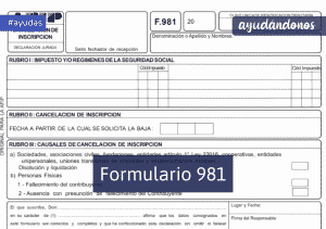 Formulario 981