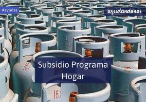 Subsidio programa hogar